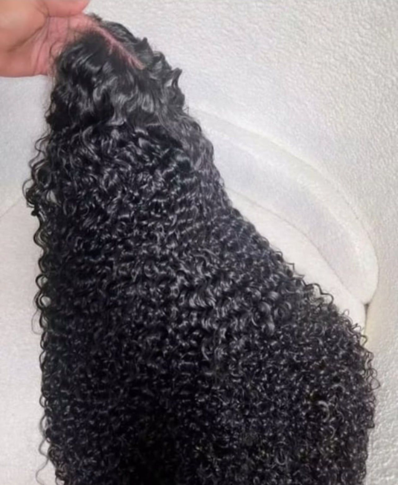 Virgin Burmese Curly